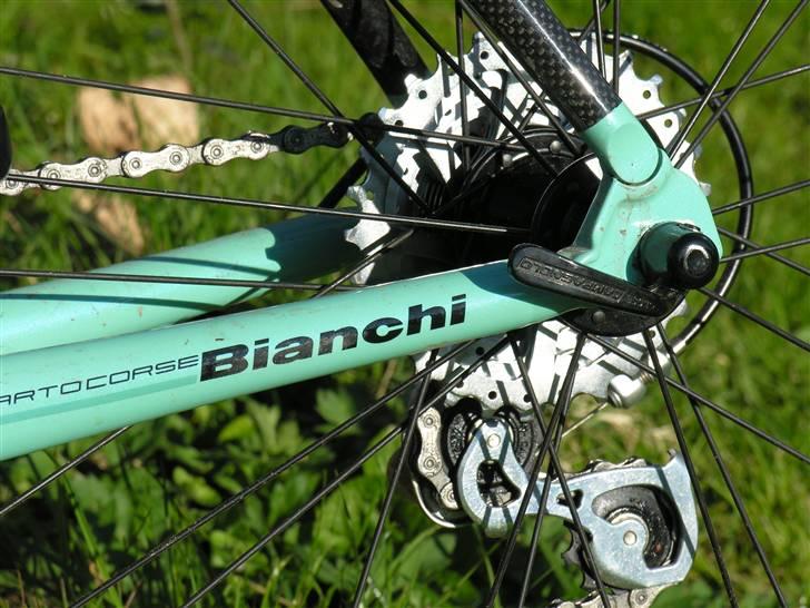 Bianchi 1885 billede 8