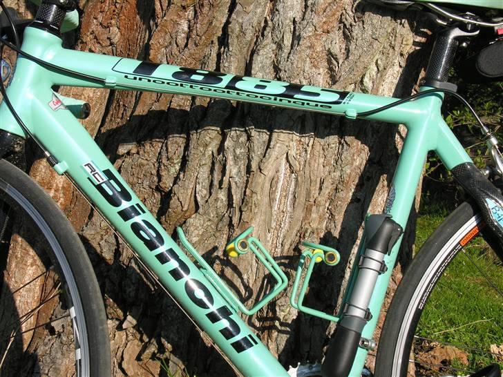 Bianchi 1885 billede 9