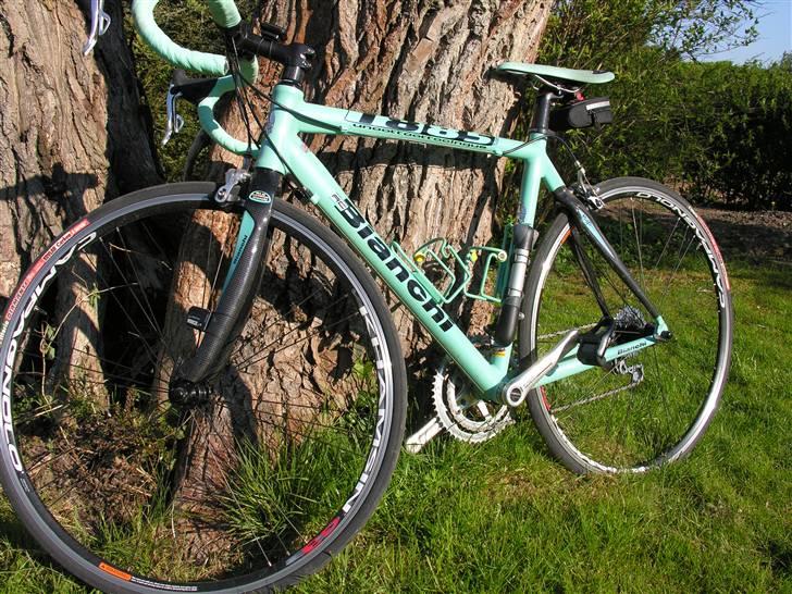 Bianchi 1885 billede 10
