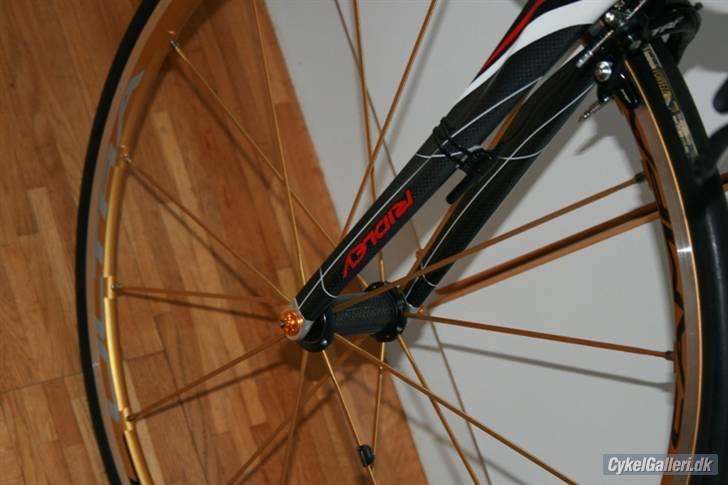 Ridley Noah billede 18