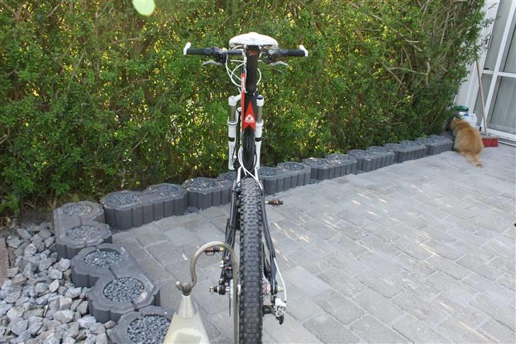 Trek Top Fuel 9.9 SSL billede 10