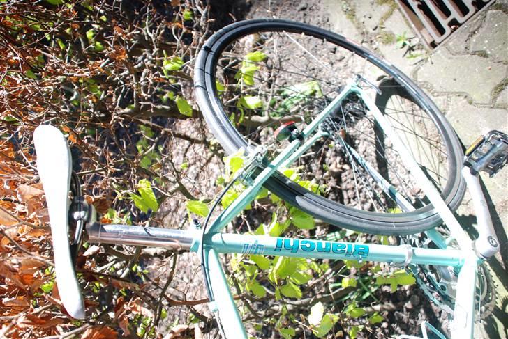 Bianchi Trofeo 98' billede 10