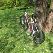 Cube LTD PRO 09