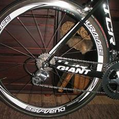 Giant TCR Advanced