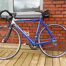 Pinarello Angliru