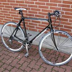 Centurion Basic Carbon