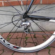 Centurion Basic Carbon