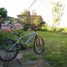 Redline proline 2009