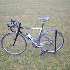 Giant TCR C2