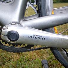 Giant TCR C2