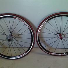 Giant SCR 3.0