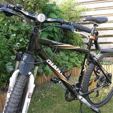 Giant Terrago 2 - Stjålet :(