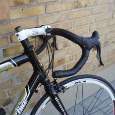 Bottecchia BS 110