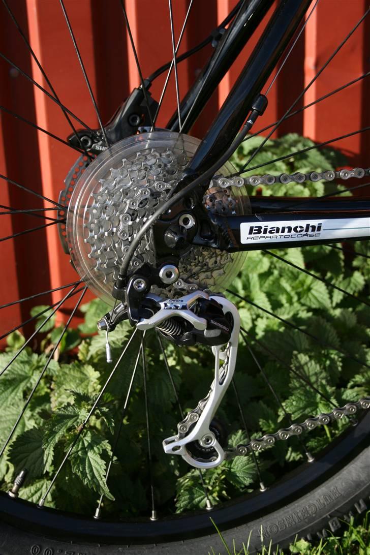 Bianchi Mutt 7400 - Oktober 2010 - kasette efter adskillelse og intens rengøring billede 6
