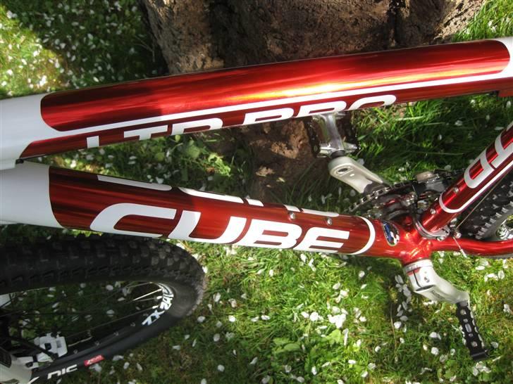 Cube LTD PRO 09 billede 9