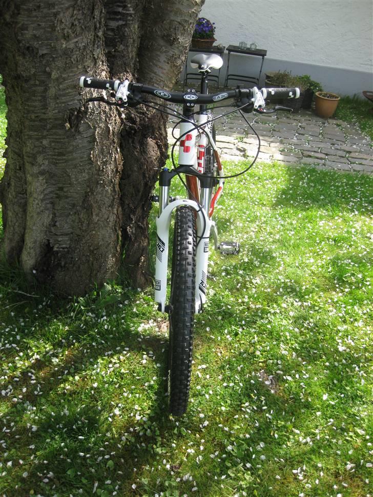 Cube LTD PRO 09 billede 10