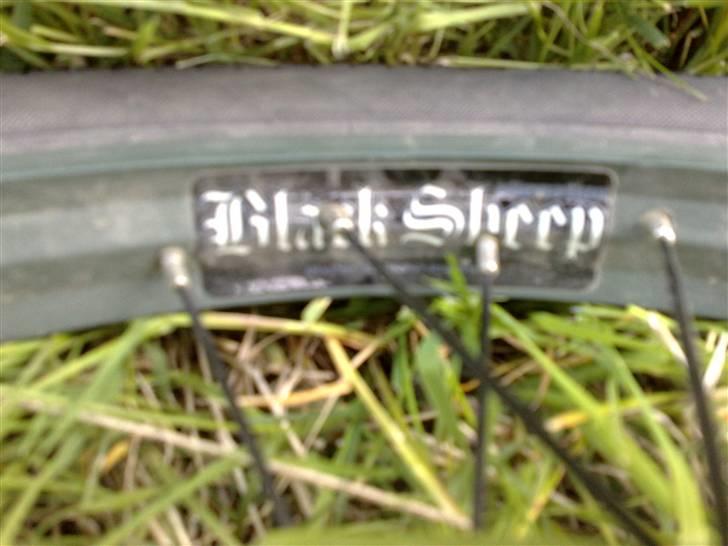Fit STR 3 billede 5