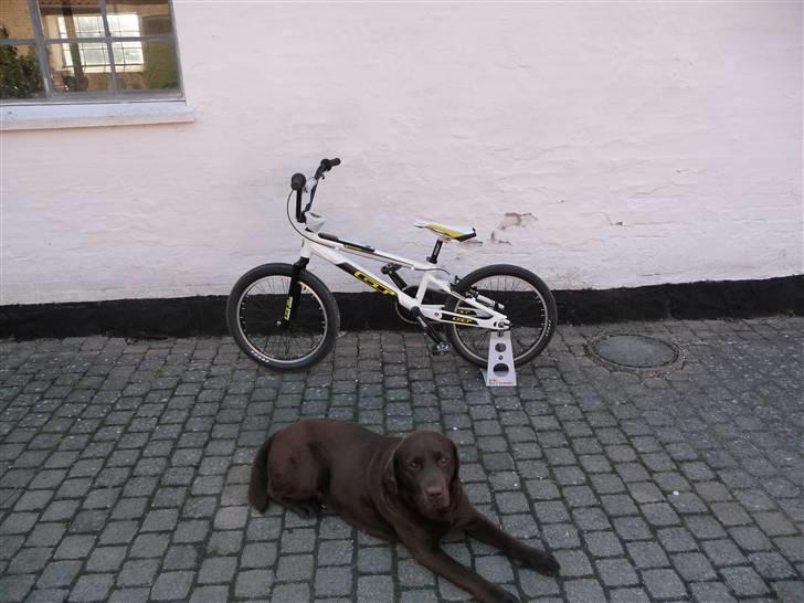 GT Power Series XL 09 SOLGt billede 1
