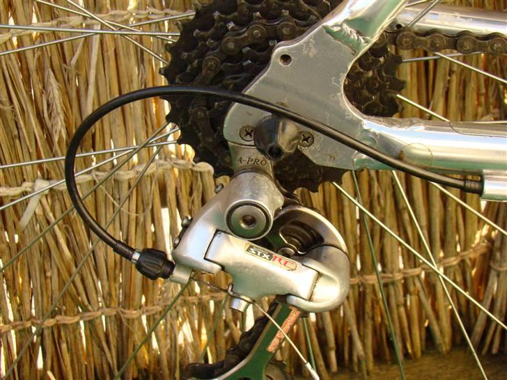 Marin Nail Trail billede 4