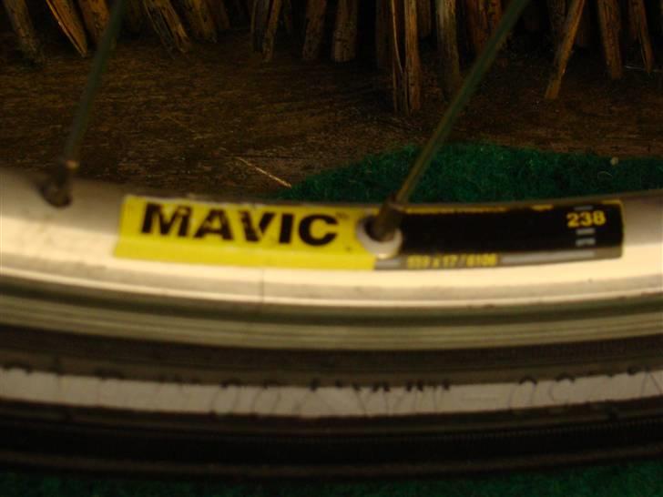 Marin Nail Trail billede 13