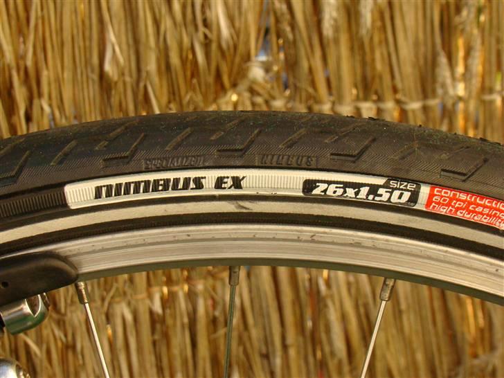 Marin Nail Trail billede 16