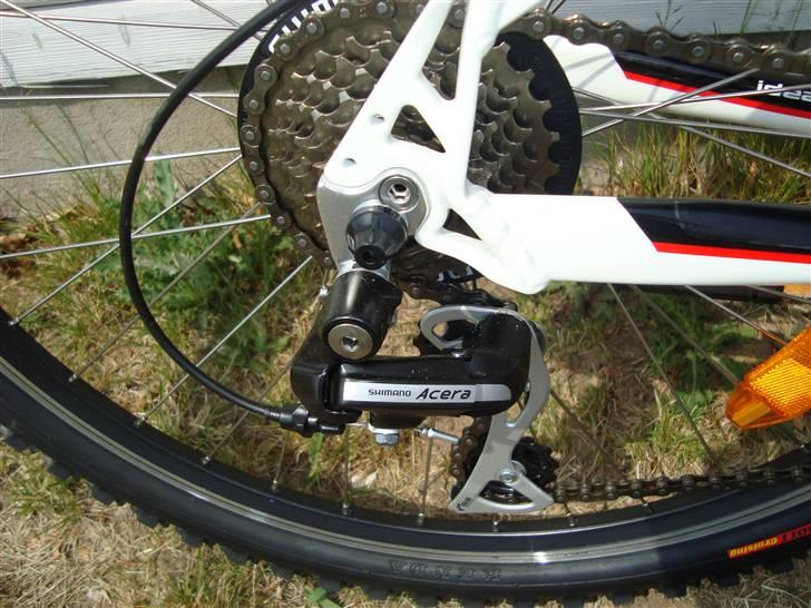 Ideal strobe billede 12