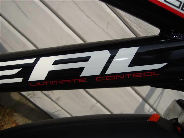 Ideal strobe billede 17
