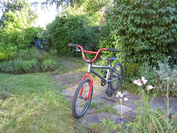 Redline proline 2009 billede 4