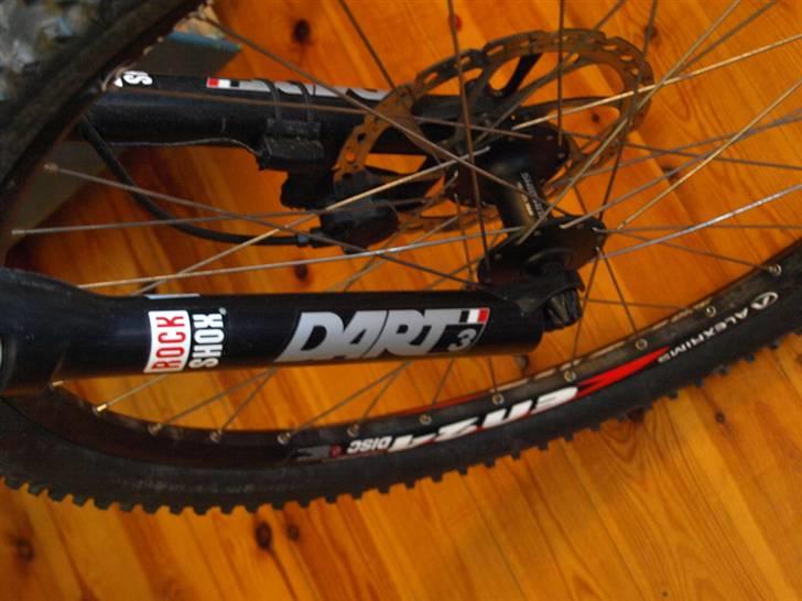 Radon ZR Team 5.0 2009 billede 9
