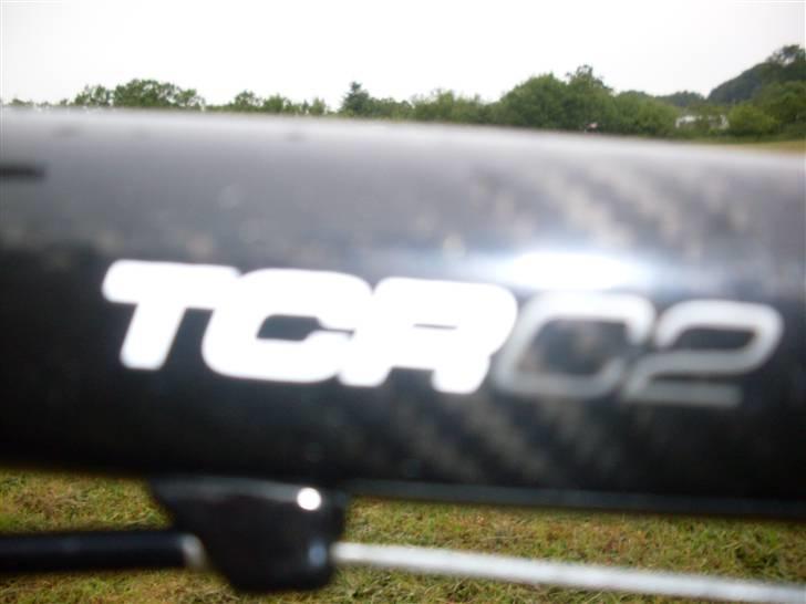 Giant TCR C2 billede 4