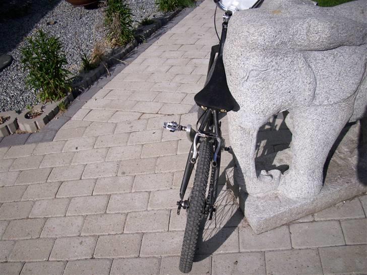 DK Bikes *Dialled* billede 3