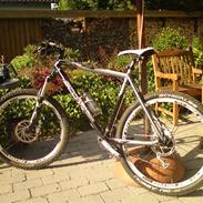 Scott scale 40, 09