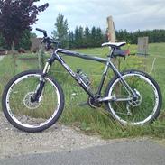 Scott scale 40, 09