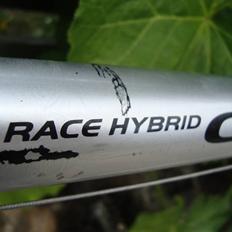 Nishiki Race Hybrid Comp