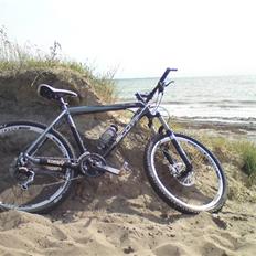 Scott scale 40, 09