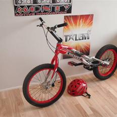 Monty 221 Kamel 09 død/knækket