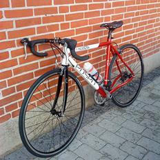Ebsen Race 09