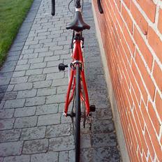 Ebsen Race 09