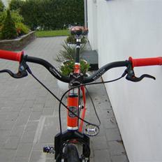 Bianchi Alu Singlespeed