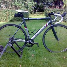 Busetto gallop (VINTERRACER)