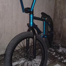 Federal Notorious HT