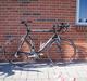 Nishiki Race Competition