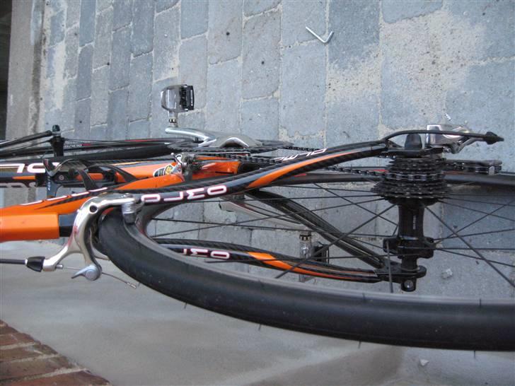 Olmo Tecno kt billede 12