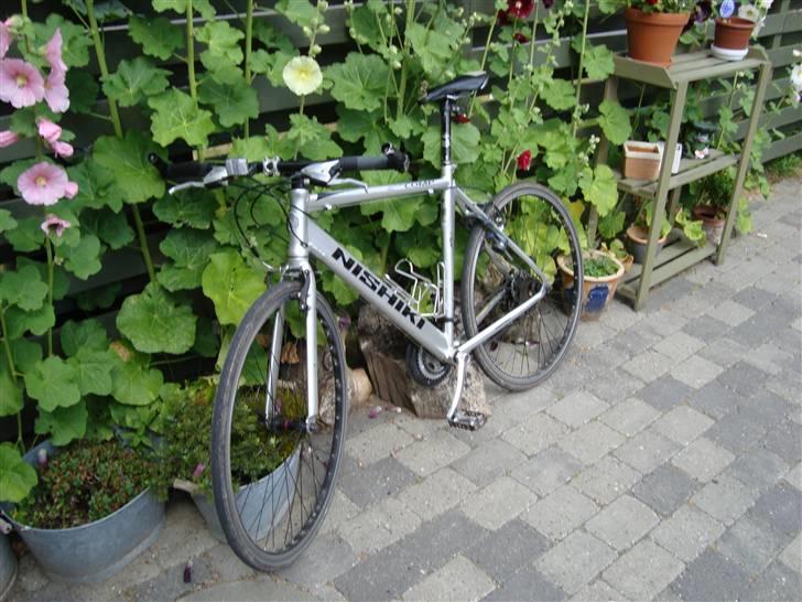 Nishiki Race Hybrid Comp billede 7
