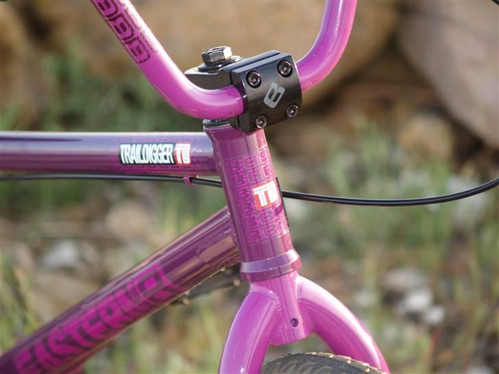 Eastern Bikes Traildigger 2009 billede 6