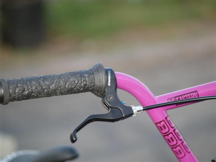 Eastern Bikes Traildigger 2009 billede 9