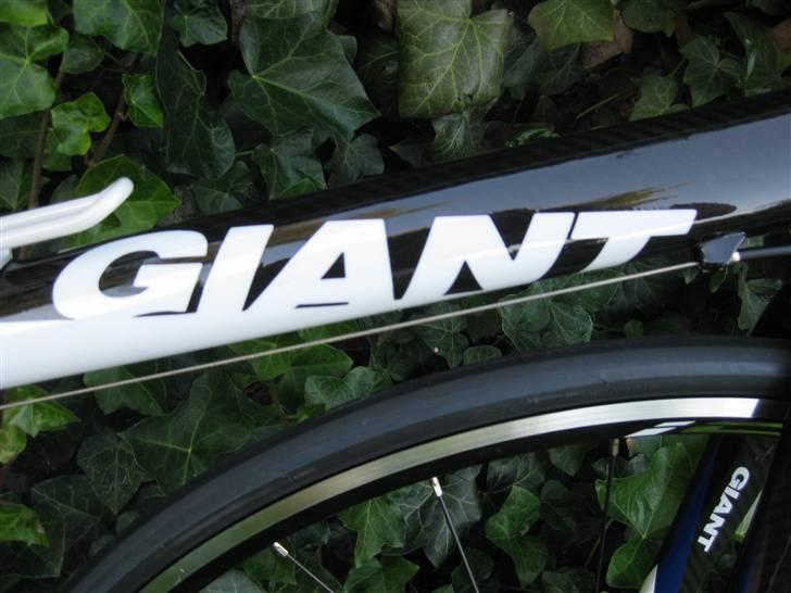 Giant TCR C3 billede 9