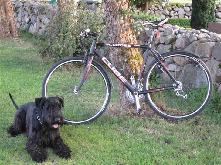 Cube SL Road limited DK billede 1