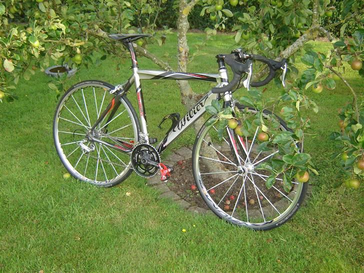 Wilier Lavaredo billede 7