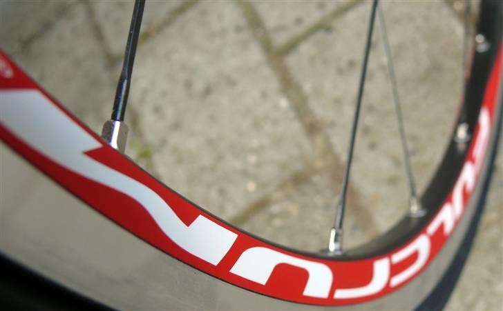 Wilier Le Roi 2009 billede 6